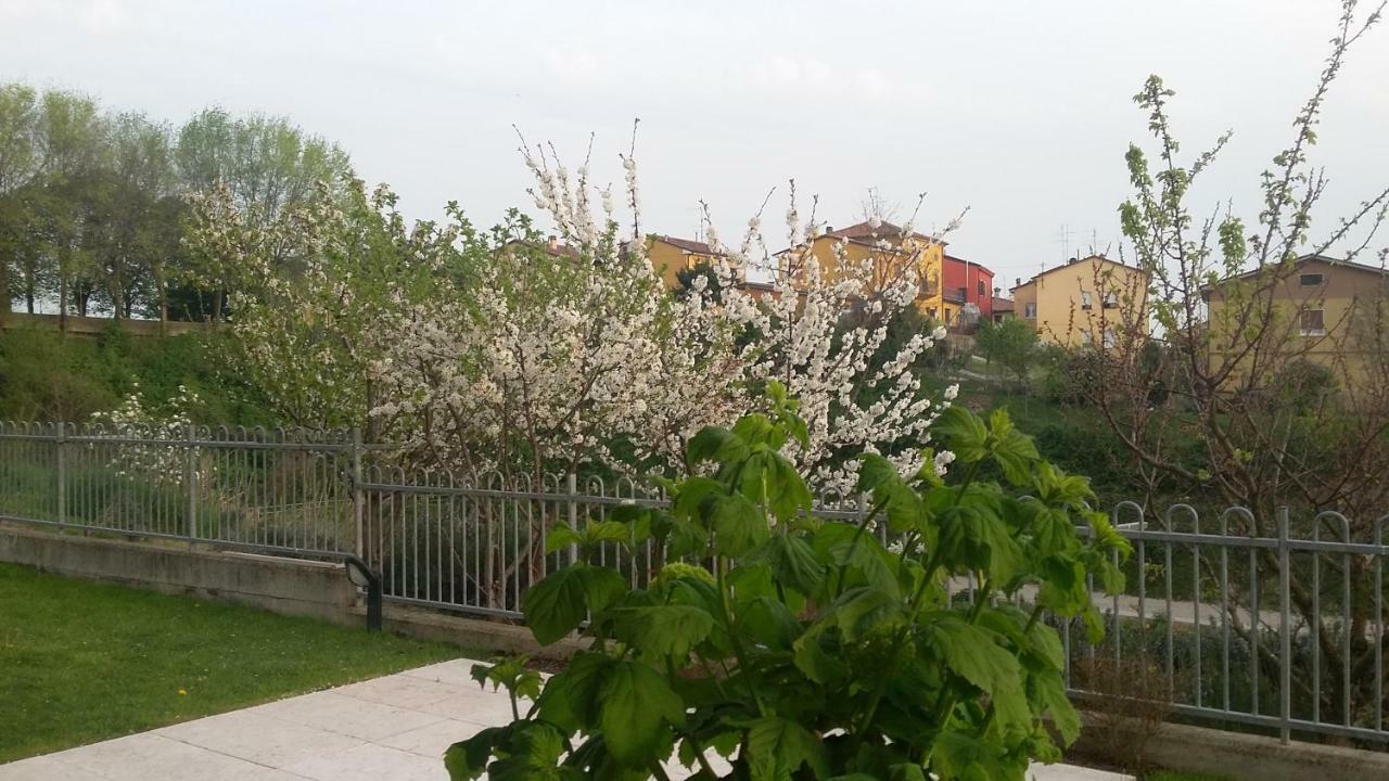 莱昂住宿加早餐旅馆 卡斯特努沃德加尔达 外观 照片